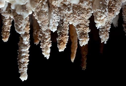 Varias estalactitas de yeso de las cuevas de Sorbas, en Almería. La estructura del yeso encierra agua filtrada desde el techo de la cueva hace siglos o incluso milenios