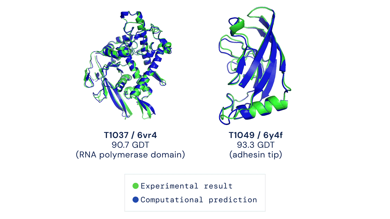 Fit between two structures discovered experimentally (in green) and predicted by AlphaFold (in blue)