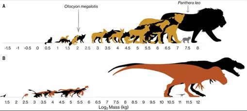 La brecha entre los dinosaurios prehistóricos frente a los carnívoros modernos
