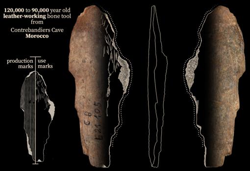 Una herramienta de hueso de la cueva de Contrebandiers, que se utilizó para trabajar el cuero hace de 120.000 a 90.000 años