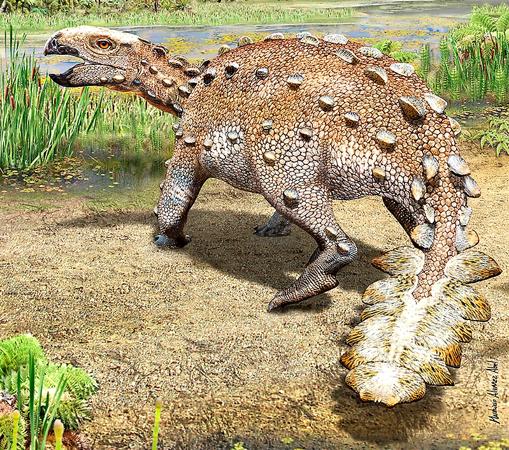 Stegouros elengassen es el nombre de este nueva especie de dinosaurio acorazado que vivió hace 74 millones de años en el territorio de la actual Patagonia que pertenecía al megacontinente Gondwana