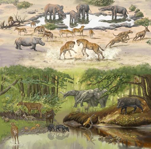 La comunidad de fósiles en la cuenca de Junggar hace unos 17 millones de años. Ejemplares de Discokeryx xiezhi están en el medio