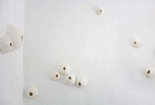 «Nidal» (Instalación)