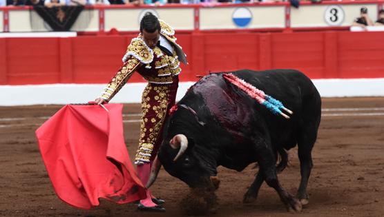 Manzanares