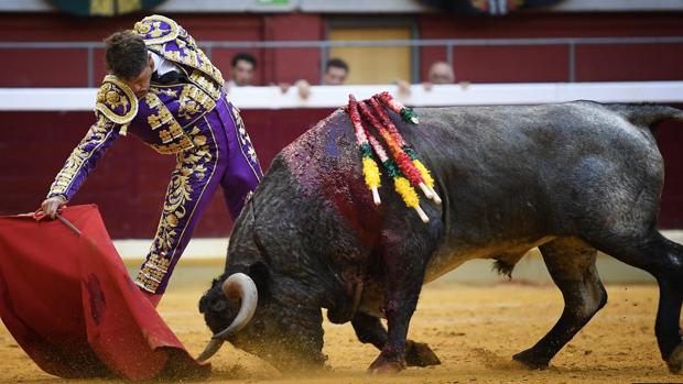 Derechazo de Escribano al cárdeno victorino, que humilla