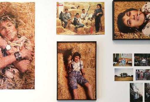 Imagen de la serie «Foto-Copias». Detalle de «General Ocre»