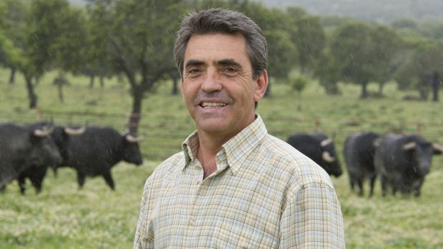 Victorino Martín, rodeado de sus toros