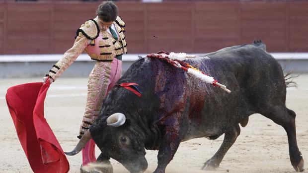 Fernando Robleño dejó buenos muletazos