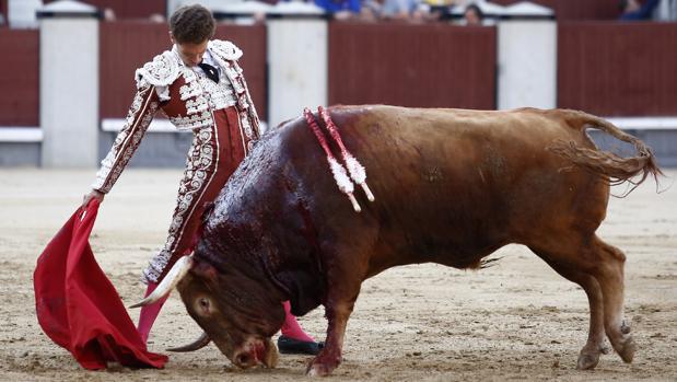 Ginés Marín, en un sentido muletazo al toro «Poeta»