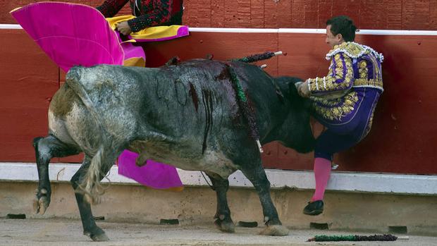 Momento de la cogida al diestro Rafaelillo