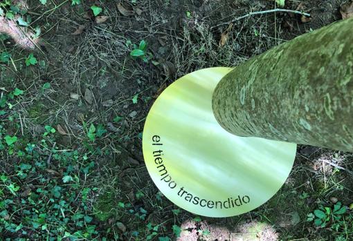 Obra de Virginia López para «Néxodos»