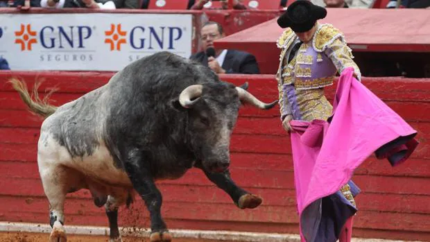 Arturo Saldívar saluda al toro, que echa las manos por delante