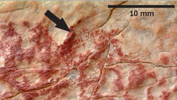 Una de las huellas prehistóricas o paleodermatoglifos hallada en el abrigo de Los Machos