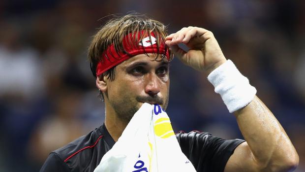 David Ferrer