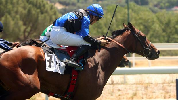 Putumayo, ganador de la quinta carrera