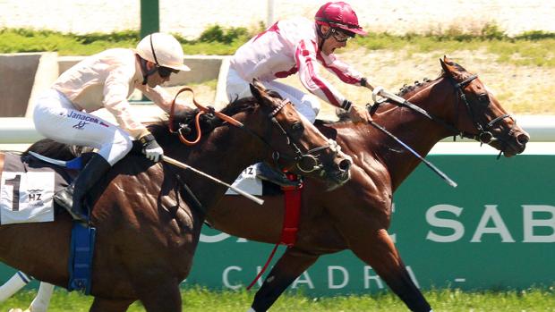 Llegada del Gran Premio Urquijo 2018 - «Presidency» batiendo a «Abrantes»