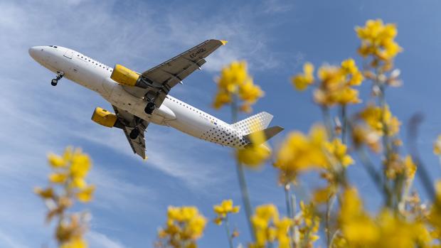 Vueling ha sufrido retrasos y cancelaciones en los últimos días