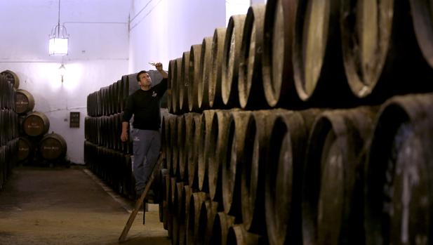 Bodegas de vino en Puente Genil