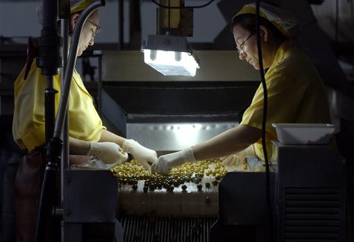 El consumo de aceituna de mesa crece a nivel mundial