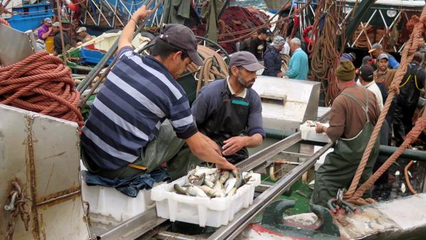 Pescadores en el puerto de Dajla (Sáhara Occidental)