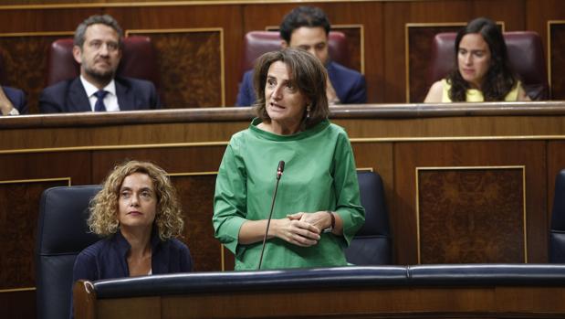 La ministra de Transición Ecológica, Teresa Ribera, en una reciente comparecencia en el Congreso