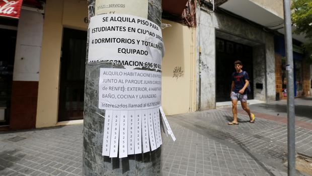 Resultado de imagen de LA FIEBRE DEL ALQUILER Y LOS NUEVOS CASEROS