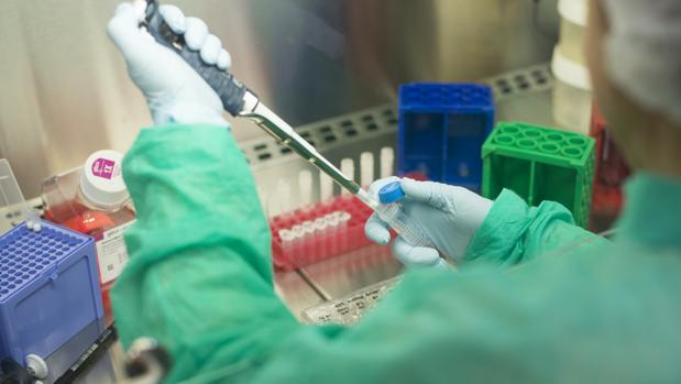 El préstamo se concede para la investigación de aéras no cubiertas dentro de la dermatología médica