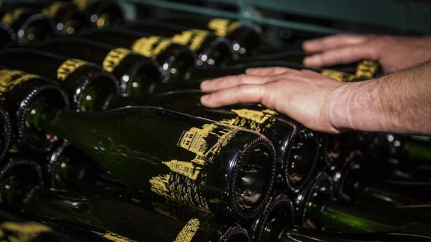 La firma aragonesa produce anualmente medio millón de botellas de cava, y exporta el 60% de ellas