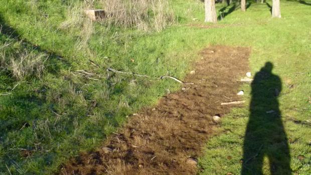 Vinagre de madera como alternativa al glifosato