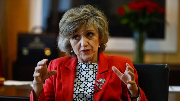La ministra de Sanidad, María Luisa Carcedo