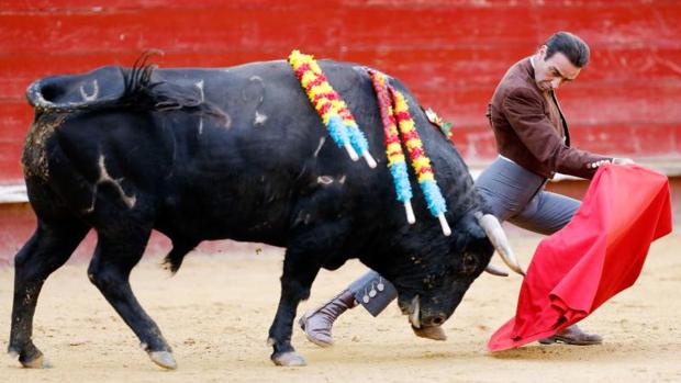 El diestro Enrique Ponce da un pase a su astado en el festival taurino celebradoen octubre en Valencia