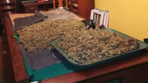 Droga aprehendida en uno de los registros