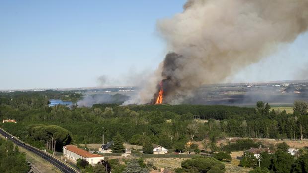 Espectacular incendio en la ribera del Tormes entre los términos de Cabrerizos y Aldealengua, junto a la antigua piscifactoría