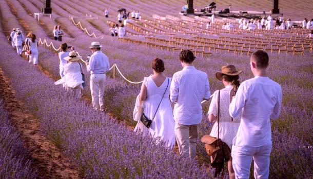 Es «una experiencia única e irrepetible, ya que a los pocos días las flores desaparecen», dice la directora del festival, Natacha Watine