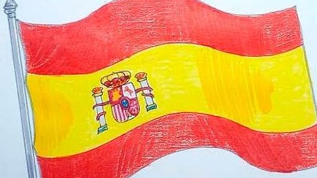 Una de las banderas que circulan por la red en solidaridad con la niña agredida