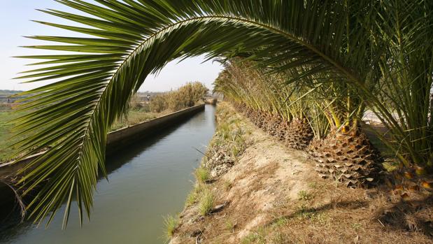 Imagen de archivo de una acequia valenciana