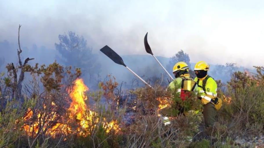 Los Bomberos Controlan El Primer Incendio Forestal Del Verano En La ...