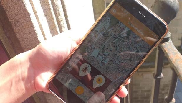 La aplicación nutrirá mapas y modelos a partir de las observaciones en tiempo real de los usuarios