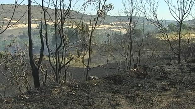 Una de las imágenes que dejó el incendio en Brihuega