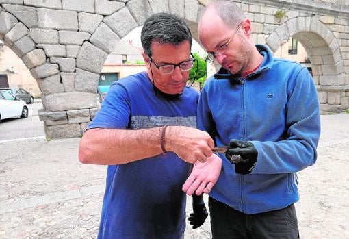 Los ornitólogos Esteban Casaux y Javier Llorente, con un ejemplar