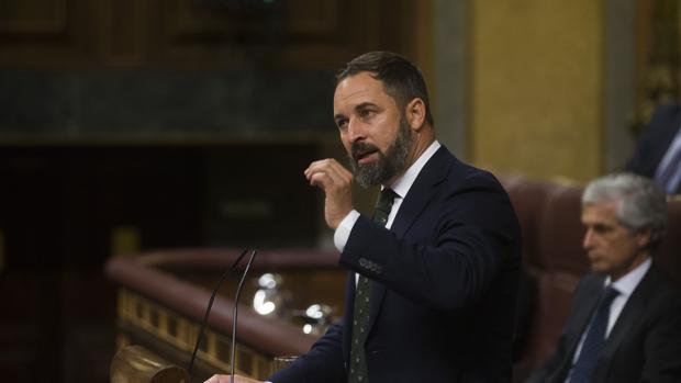 El presidente de Vox, Santiago Abascal, durante su intervención la semana pasada en el Congreso