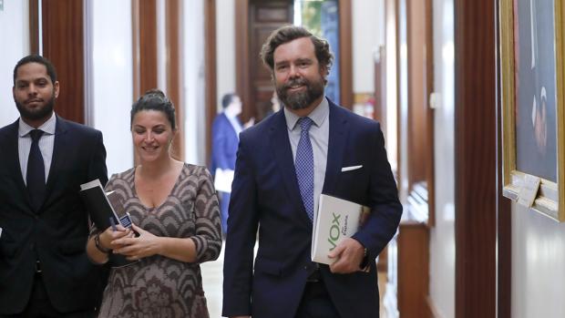 El portavoz de Vox en el Congreso Iván Espinosa de los Monteros
