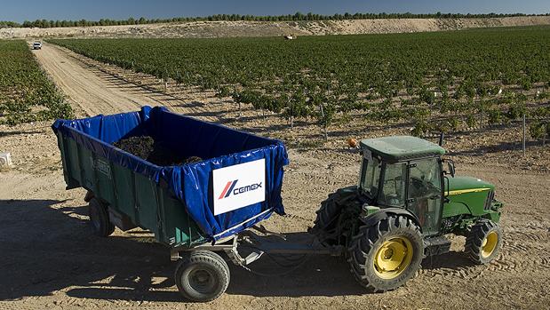 Cemex inició en 2003 un proyecto pionero
