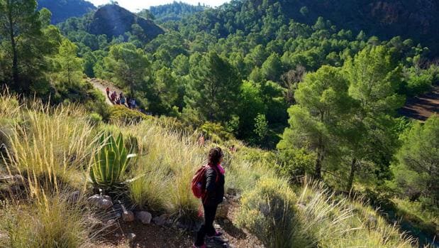 ALBACETE: Hallan sin vida a una octogenaria desaparecida ...