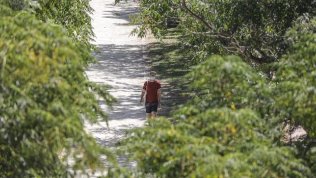 Un hombre pasea con mascarilla por un jardín en Valencia