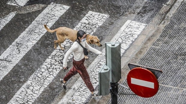 Imagen de una mujer con mascarilla bajo la lluvia en Valencia