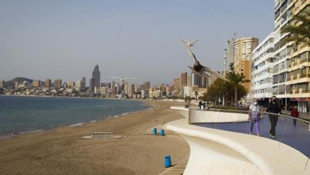 Paseantes junto a la playa de Poniente en Benidorm