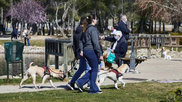 Varias personas pasean a sus perros, este lunes, en un parque de Carabanchel