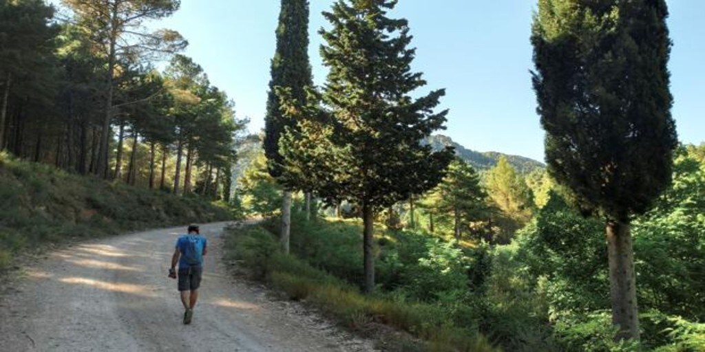 Una ruta de la Comunidad Valenciana, entre las diez mejores de España para senderistas principiantes