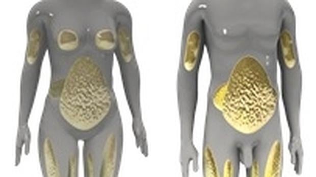 La barriga hombre como disminuir